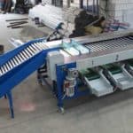 Full Automatic Longan Fruit Size Sorting Grading Machine for Sale