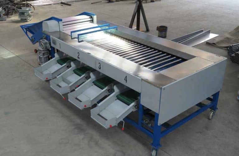 Full Automatic Longan Fruit Size Sorting Grading Machine for Sale